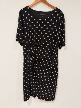 connected apparel Black Dress with Beige Polka Dots